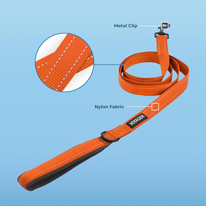 Voyager Reflective Dog Leash with Neoprene Handle, 6ft Long, Supports Small, Medium, and Large Breed Puppies, Cute and Heavy Duty for Walking, Running, and Training - Orange, L
