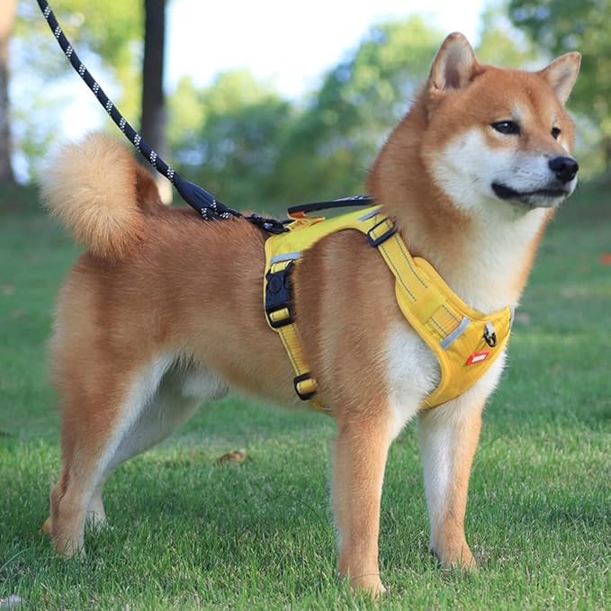 No Pull Dog Harness Reflective No Choke Pet Padded Vest Harness for Small Medium Large Dogs,Breathable Heavy Duty Dog Walking Harness with Easy Control Handle for Outdoor Training Running