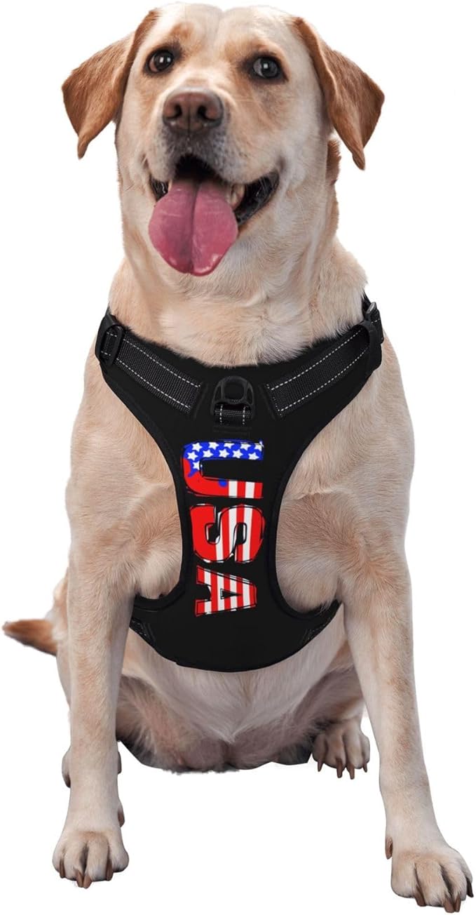 Custom Dog Harness with Name Phone No., Customized No Pull Pet Vest for Small Medium Large Dog, Personalized Heavy Duty Dog Vest, Adjustable Reflective Pet Harness Custom, DeepRed, S
