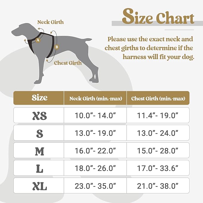rabbitgoo Dog Harness, No-Pull Pet Harness with 2 Leash Clips, Adjustable Soft Padded Dog Vest, Reflective No-Choke Pet Oxford Vest with Easy Control Handle for Small Dogs, Beige, S