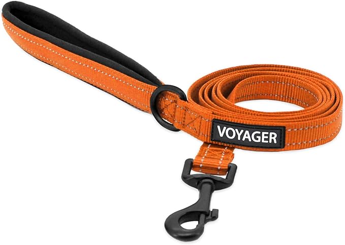 Voyager Reflective Dog Leash with Neoprene Handle, 5ft Long, Supports Small, Medium, and Large Breed Puppies, Cute and Heavy Duty for Walking, Running, and Training - Orange (Leash), M