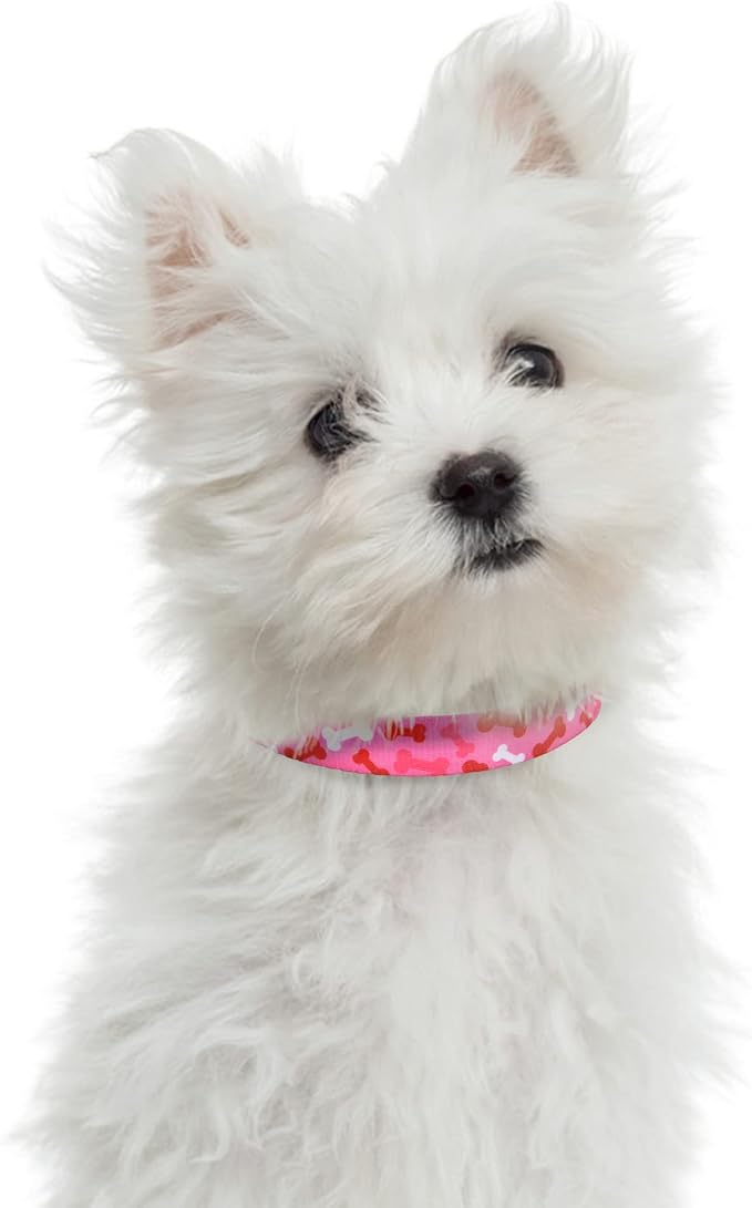Mile High Life Dog Collar | Nylon Puppy Collars w Cute Patterns | Lightweight Girl Dog Collar | Boy Dog Collar for Small/Medium/Large Dogs (Pink Bone, Large)