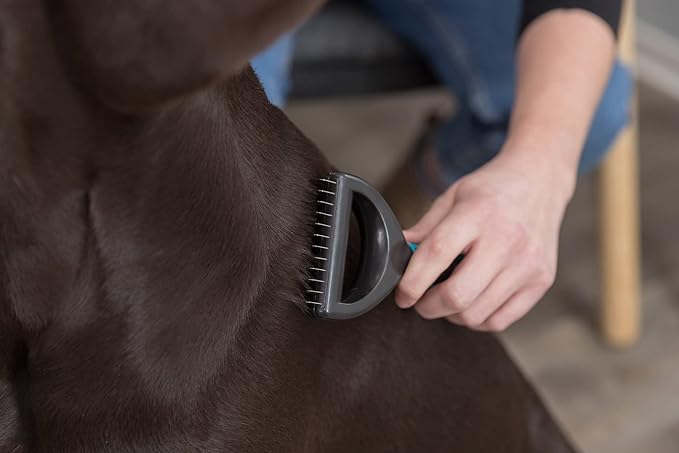 TRIXIE Pet Universal Grooming Rake for Cats and Dogs, Detangle and Thin, 2.5" x 7" (6x18cm)