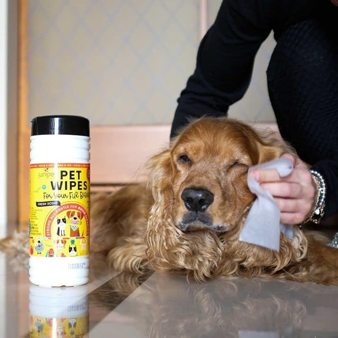 Pet Wipes for Pets Cleansing, Wipes for Dogs & Puppies-Mild & Soothing Dog Grooming Wipes, Safe to Use from Head to Toes, Strong but Gentle for Quick Cleaning, 50 Count (Pack of 1)