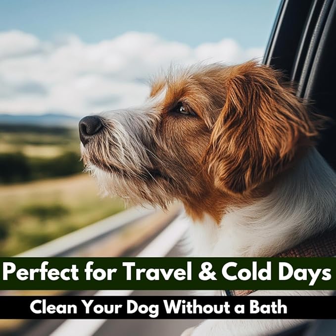 Talc-Free Dog Anti Itch Dry Shampoo Powder for Smelly Dogs, Pet Deodorizer for Skin, Ear & Paw - White Clay & Aloe Vera - 3.5 Oz