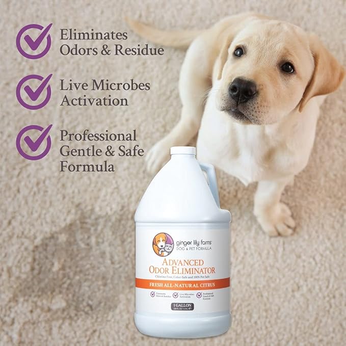 Ginger Lily Farms Dog & Pet Formula Advanced Odor Eliminator, Professional Strength, Fresh All-Natural Citrus, 1 Gallon Refill (128 fl oz)
