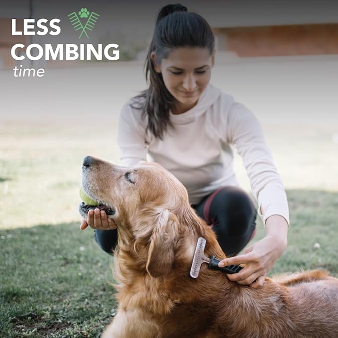 Best Shot Ultra Dirty Plenish Conditioner, Ideal Pet Grooming Conditioner, Protein-Enriched Moisturizing Conditioner for Any Dog, Cat, or Horse, Agree Fragrance, 16 Oz.