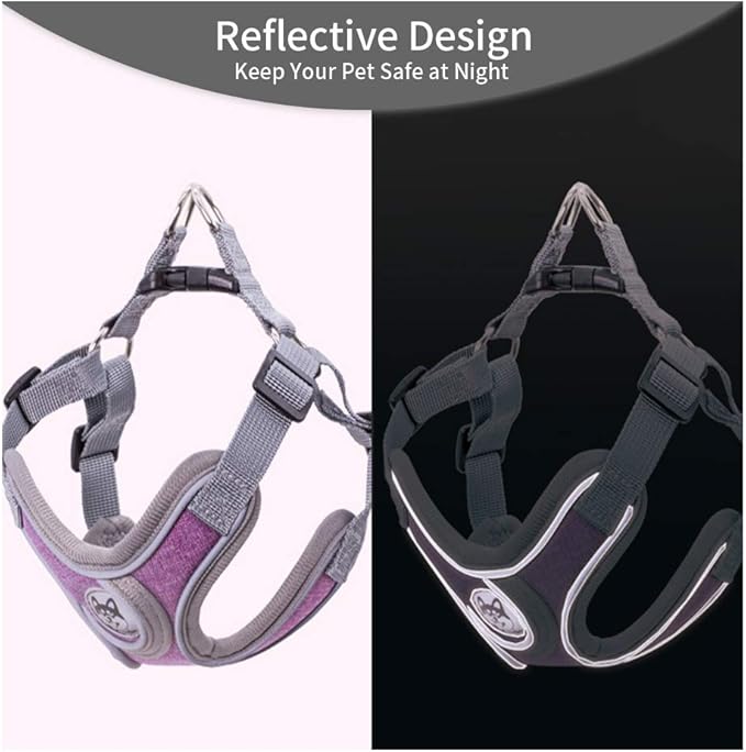 Step-in Dog Harness, Adjustable Reflective Small Dog Harness and Leash Set, Soft Air Mesh Vest Kit for Small Medium Breed Puppy and Cats