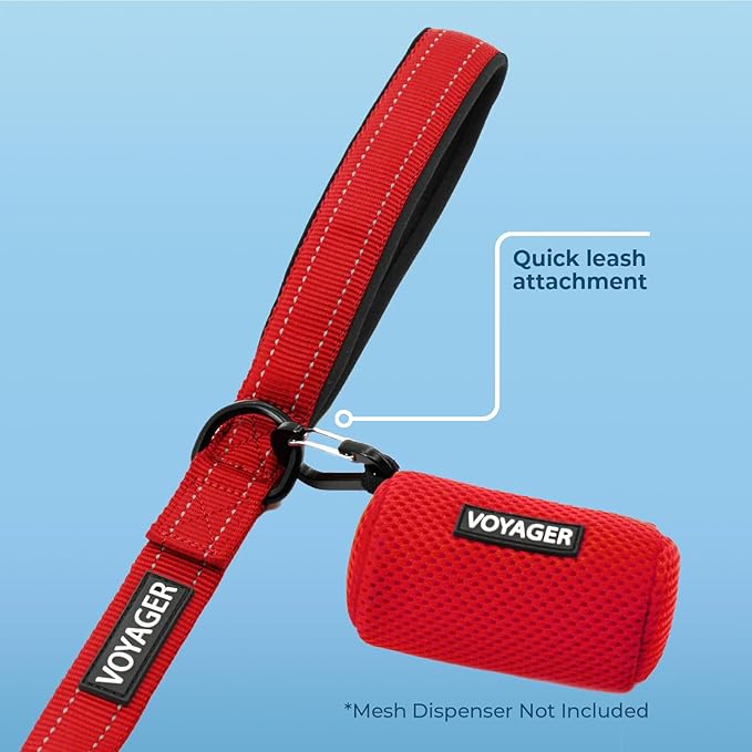 Voyager Reflective Dog Leash with Neoprene Handle, 5ft Long, Supports Small, Medium, and Large Breed Puppies, Cute and Heavy Duty for Walking, Running, and Training - Red (Leash), S