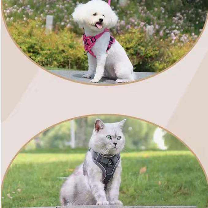 Harness for Dogs & Cats - S. M. L. XL, Nylon, Adjustable Buckle Pet Vest with Matching Leash (Blue, Medium)