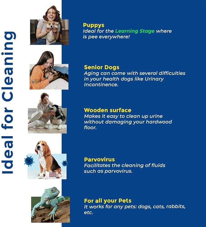 Whoops! Pet Accident Cleanup Powder - Non-Toxic, Citrus Fragrance, Absorbs & Deodorizes Urine, Vomit, Diarrhea - 1 Pack (29.98 oz Each)