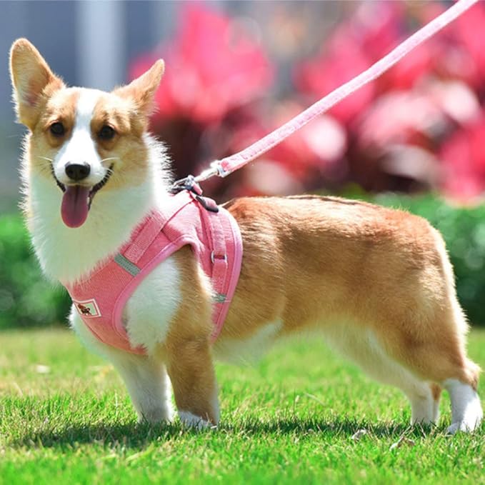FEimaX Dog Harness and Leash Set, No Pull Reflective Adjustable Pet Harnesses for Puppy Kitten Soft Corduroy Chest Harness for Small Medium Dogs and Cats Easy Control Vest for Outdoor Walking