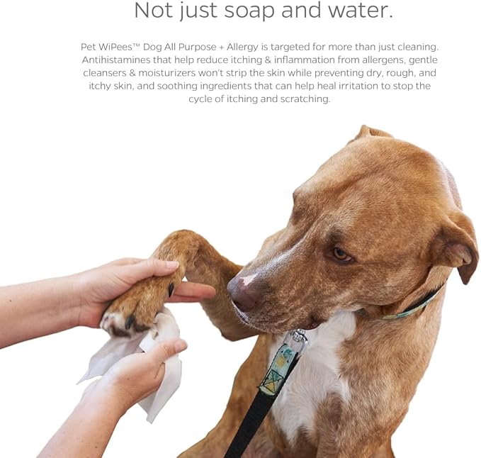 Pet Parents® Pet WiPees™ Dog All Purpose + Allergy Dog Wipes, Pet Wipes for Dogs, Puppy Wipes & Paw Wipes, Large Dog Wipes (100 Count (Pack of 2), Natural)