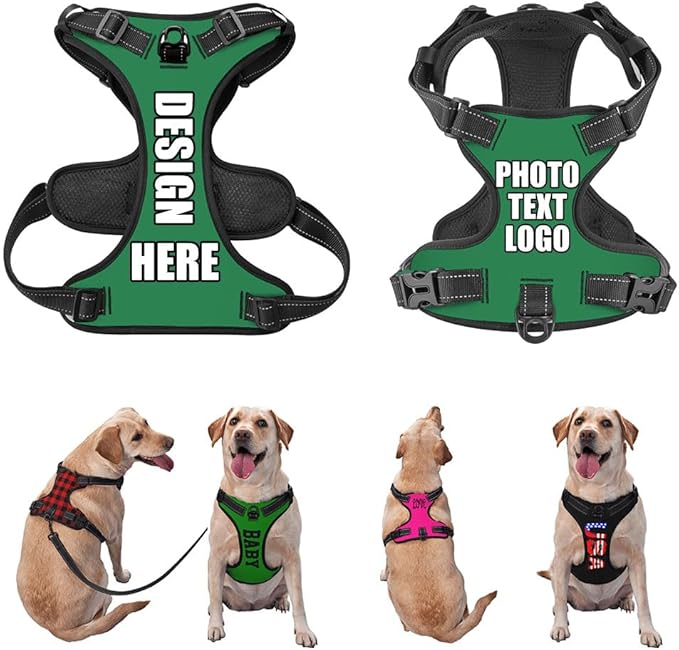 Personalized Pet Harnesses with Name and Phone Number, Heavy Duty Dog Harness with Leash Set Customization, Customizable No Pressure Pet Vest with You Own Design, Seagreen, XL