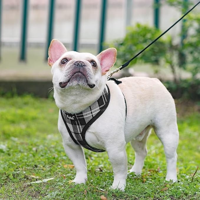 PUPTECK Soft Mesh Dog Harness and Leash Set Pet Puppy Cat Comfort Padded Vest No Pull Harnesses, Black&White, XS
