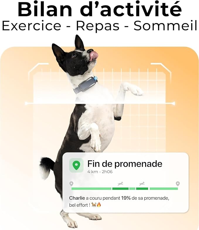 Minitailz - Health & GPS Tracker for Dogs #1 - Cardiac and Respiratory Scan - Real-time Location - Activity and Well-Being Analysis - Compact, Lightweight, and Easy to Install
