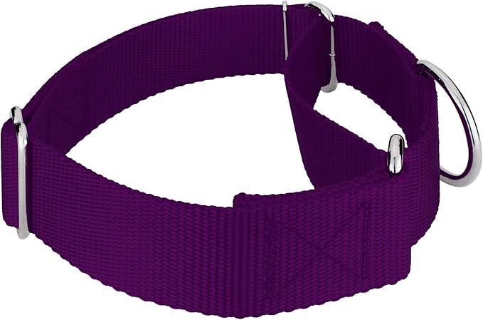 Country Brook Petz 1 1/2 Inch Martingale Heavy Duty Nylon Adjustable Dog Collar for Small, Medium, Large Breeds - Vibrant 17 Color Selection (Purple, Medium)