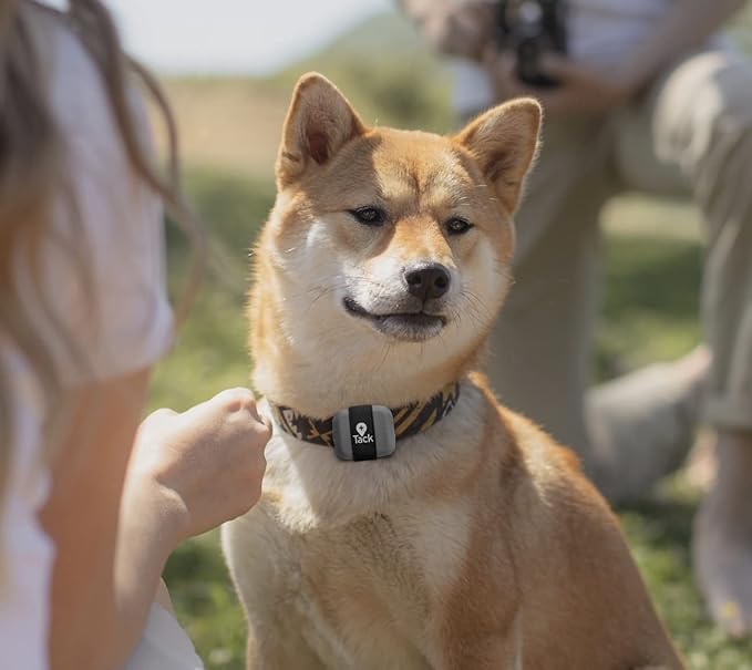 Tack GPS Pet Safety Bundle, with Lowest Monthly fee and 30 Days Battery Life - Comes with Fabric Sleeve to Attach Tracker onto pet's Collar Directly