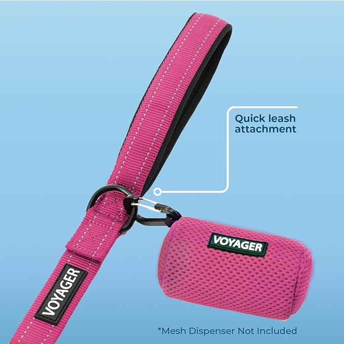 Voyager Reflective Dog Leash with Neoprene Handle, 5ft Long, Supports Small, Medium, and Large Breed Puppies, Cute and Heavy Duty for Walking, Running, and Training - Fuchsia (Leash), L