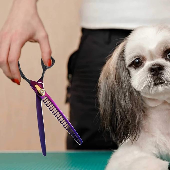 Professional 7.0/8.0 inch Pet Grooming Hair Cutting Scissors and 6.75/8.0 inch Dog Chunker Shear - Japan 440C Stainless Steel for Pet Groomer or Family DIY Use (8 inch Chunker Scissor)