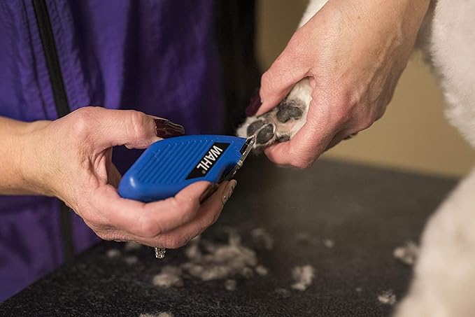 Wahl Professional Animal Pocket Pro Equine Compact Horse Trimmer and Grooming Kit - Blue