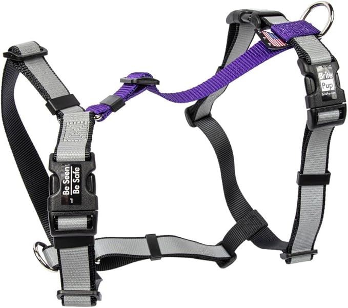 No Pull Dog Harness for Small Dogs - Fully Customizable Fitment - 3M Reflective Heavy Duty Harness for Walking & Training - No Choke Comfortable Collar Design, Made in USA S-Purple