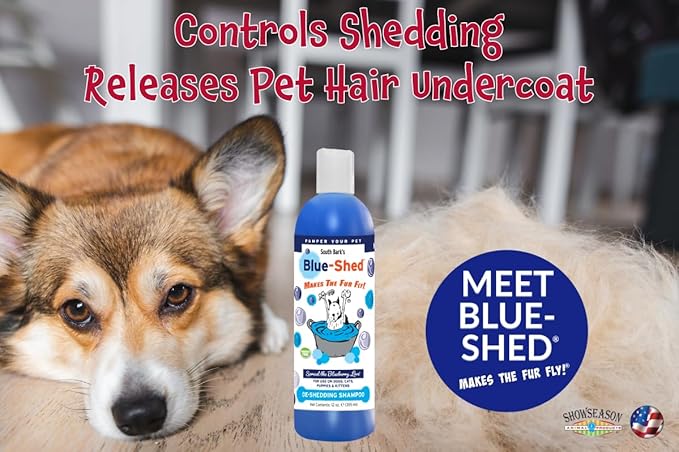 South Bark Blue-Shed® Shampoo for Dogs & Cats 12 oz. | Brightening | Deshedding | Long-Lasting, Fruity Scent | Cruelty-Free | Paraben-Free | Biodegradable and Non-Toxic | Made in USA