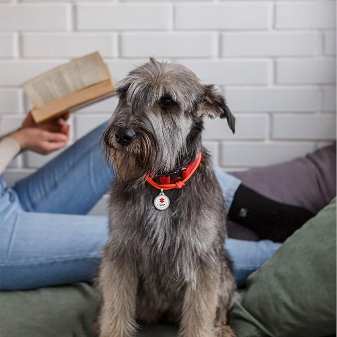 QR Code Pet Tag Service Dog ID - ESA - Emotional Support Service Dog Name Tags (Service Dog, L)