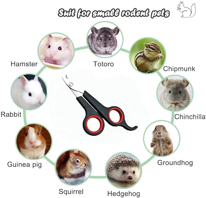 HAICHEN TEC Rabbit Nail Clippers and Trimmers Stainless Steel Pet Claw Grinding Scissors for Small Breeds Cats Guinea Pig Puppy Ferret Hamsters Chinchilla Sugar Glider Grooming Tool Set (Black)