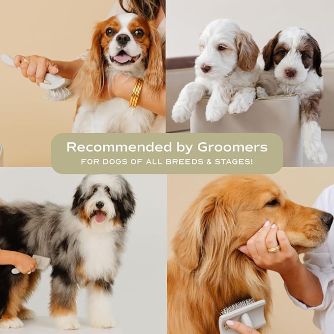 Stainless Steel Metal Everyday Dog Comb for Grooming and Removing Tangles and Knots with Rounded Teeth and Good for All Dogs
