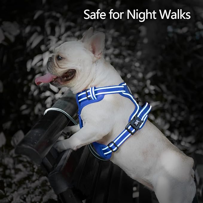 PoyPet No Pull Dog Harness, No Choke Reflective Dog Vest, Adjustable Pet Harnesses with Easy Control Padded Handle for Small Medium Large Dogs(Royal Blue,M)