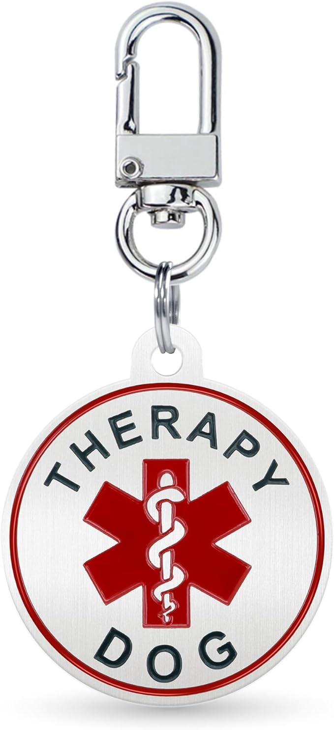 Service Dog ID Tag for Small & Large Dogs - Emotional Support ESA Medical Alert Collar Accessory - Durable Stainless Steel Service Animal Tag - Classic Therapy Dog Service Tag in Silver Large