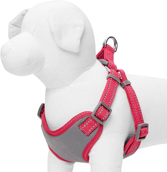 Blueberry Pet Essentials Pastel Color Reflective Dog Harness Vest, Chest Girth 29" - 38.5", Very Berry, Large, Adjustable Harnesses for Dogs