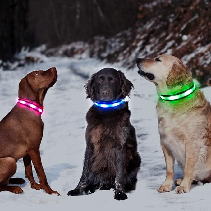 BSEEN Light Up Dog Collar - LED Dog Collar Rechargeable, Adjustable Reflective Dog Collar, Glow in The Dark Dog Camping Gear Dog Lights for Night Walking (Large Collar, Royal Blue)