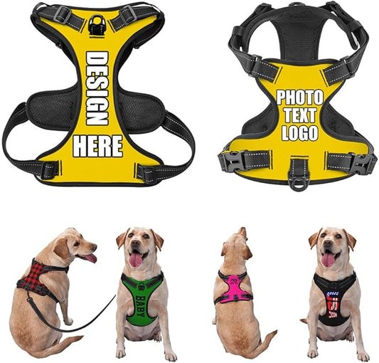 Personalized Pet Harnesses with Name and Phone Number, Heavy Duty Dog Harness with Leash Set Customization, Customizable No Pressure Pet Vest with You Own Design, Gold, XL