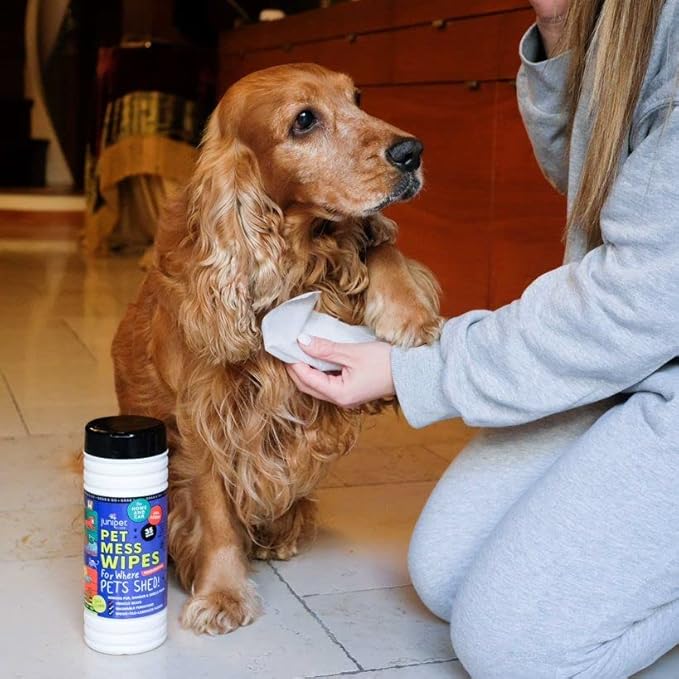 Pet Mess Wipes for Pets Cleansing, Wipes for Dogs and Puppies–Remove Fur, Dander, Smells from Vehicle Seats, Washable Furniture, Wood, Tile, and Laminate Floors, 50 Count (Pack of 12)