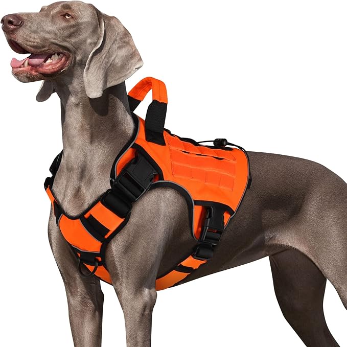 WINGOIN Orange Tactical Dog Harness Vest for Large Dogs No Pull Adjustable Reflective Military Pet Harness with Handle for Golden Retriever, Doberman Pinscher, Rottweiler, Great Dane Service Dog (XL)