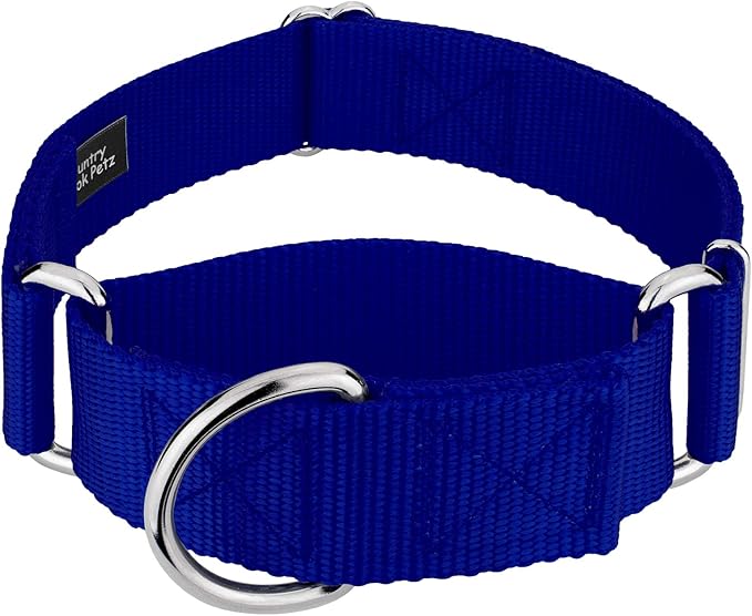 Country Brook Petz 1 1/2 Inch Martingale Heavy Duty Nylon Adjustable Dog Collar for Small, Medium, Large Breeds - Vibrant 17 Color Selection (Royal Blue, Extra Large)