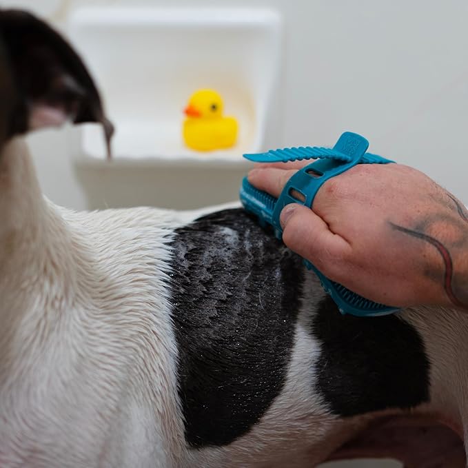 Messy Mutts Reversible Silicone Dual Sided Pet Grooming Brush | Gentle Massage, Brushing, Bathing and Dog Hair Removal Tool | One Size Fits All | Blue