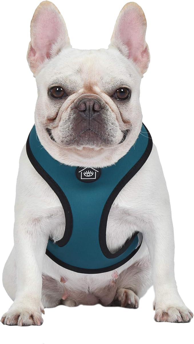 Now House for Pets by Jonathan Adler Leo Reversible Harness, Medium | Stylish, Fashionable, and Functional Way to Keep Your Dog Looking Great | Cute and Adorable Dog Accessories for Pets