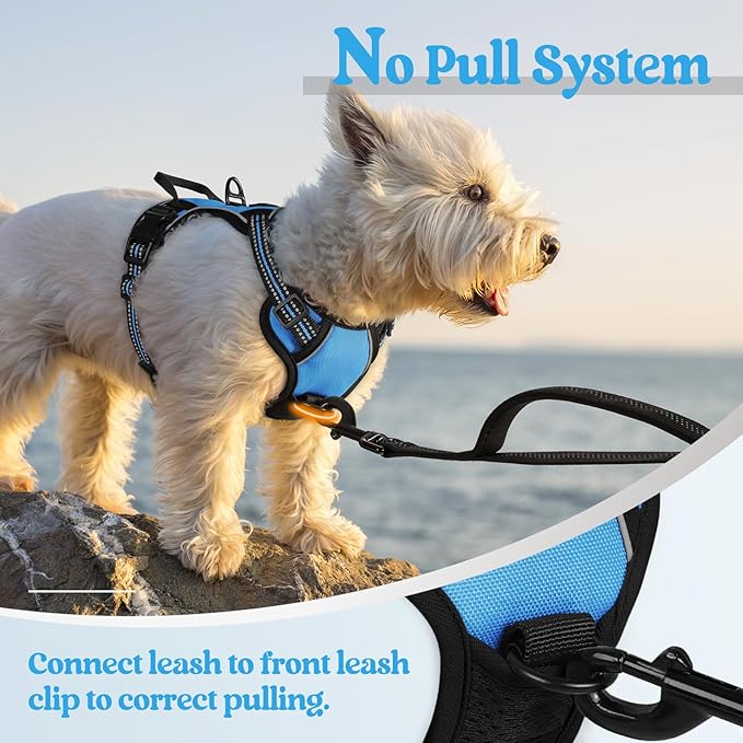 rabbitgoo Dog Harness, No-Pull Pet Harness with 2 Leash Clips, Adjustable Soft Padded Dog Vest, Reflective No-Choke Pet Oxford Vest with Easy Control Handle for Small Dogs, Blue, XS