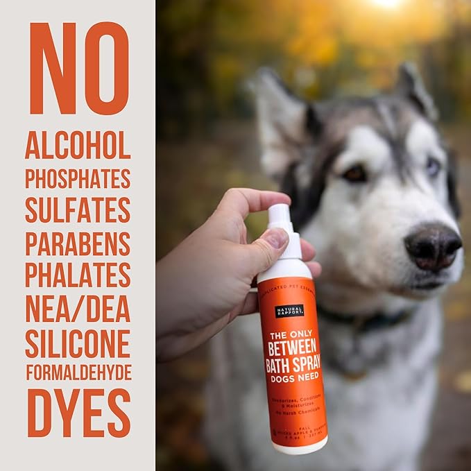 Natural Rapport Dog Cologne - Spiced Apple & Pumpkin Scent - The Only Between Bath Spray Dogs Need - Convenient, Dog Deodorant Spray and Pet Odor Eliminator Perfume (8 fl oz.)