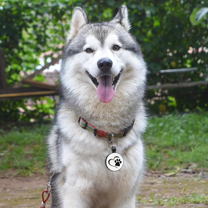 MYLUCKYTAG Silent Silicone QR Code Pet ID Tags Dog Tags - Pet Online Profile - Scan QR Receive Instant Pet Location Alert Email