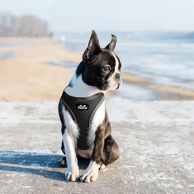 TwoEar Dog Vest Harness Reflective, No-Pull Pet Harness Easy Control with Breathable Mesh, Soft Puppy Step-in Harness No-Choke for Outdoor Walking, Training for Medium Dogs(M, Black)
