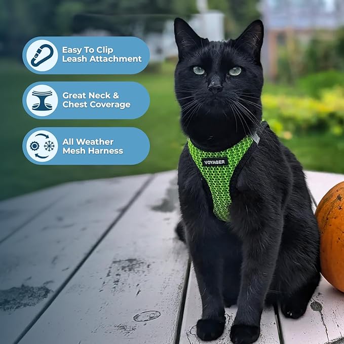 Voyager Step-in Air Dog Harness - All Weather Mesh, Reflective, No Pull Harness for Small, Medium Dogs, Cats - Secure with Hook & Loop Fastener, Buckle, Double D-Rings - Lime Green 2-Tone, L