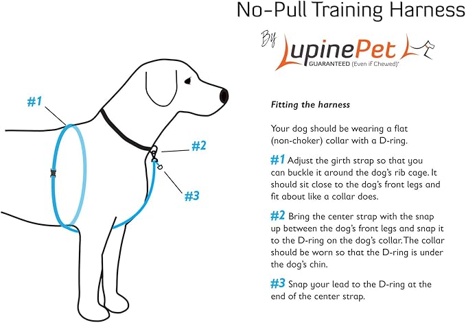 LupinePet Originals 3/4" Crazy Daisy 16-26" No Pull Harness for Small-Medium Dogs