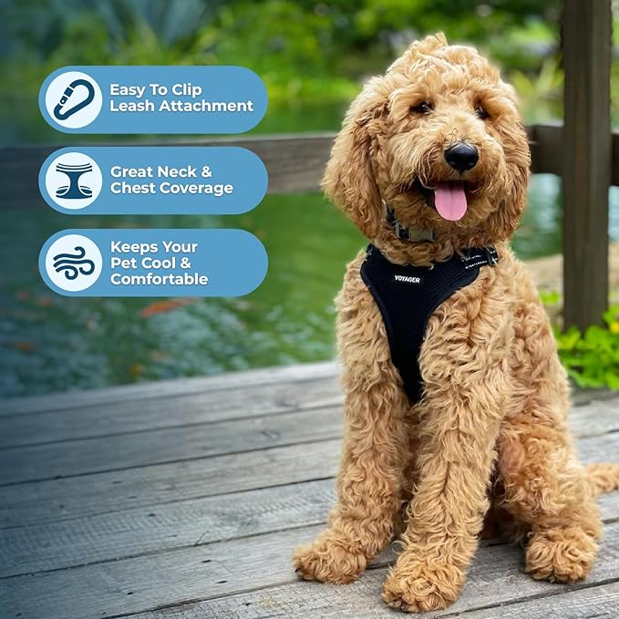 Best Pet Supplies Voyager Adjustable Dog Vest Harness Breathable No Pull Harness for Small, Medium, Large Dogs, Heavy Duty Harness for Walking, Jogging, Easy Step-in, Reflective Stripes - (Black), S
