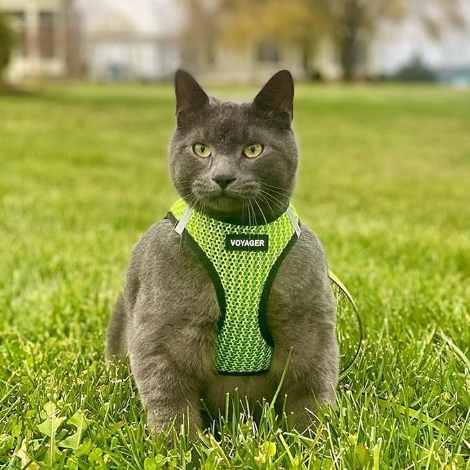 Voyager Step-in Air Dog Harness - All Weather Mesh, Reflective, No Pull Harness for Small, Medium Dogs, Cats - Secure with Hook & Loop Fastener, Buckle, Double D-Rings - Lime Green 2-Tone, XL