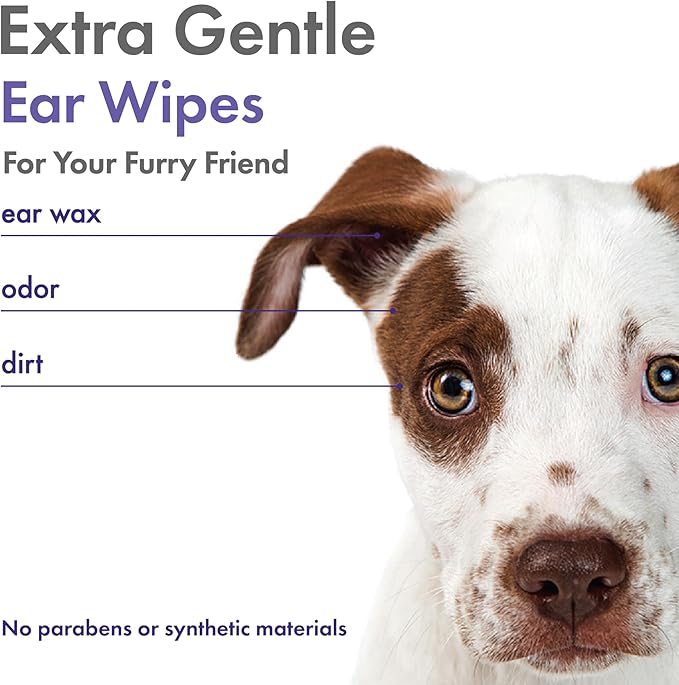 Petkin Plant-Based EarWipes, 80 Wipes - Biobased & Sustainable Pet Ear Wipes for Dogs & Cats - Cleans Ear Area, Dirt, Odor & Wax - Consciously Cleans & Conditions - Easy to Use - Lavender