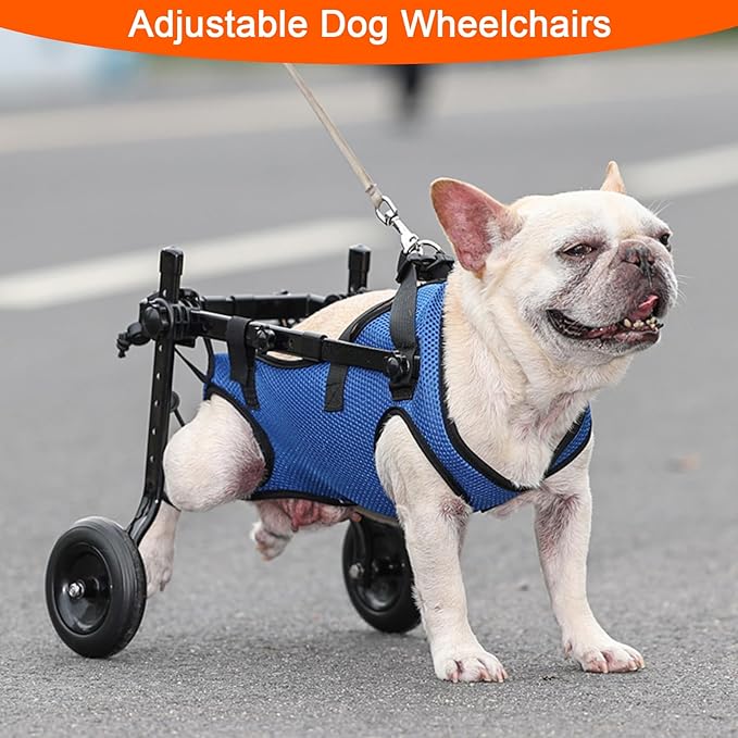 Dog Wheelchair for Back Legs, Adjustable Dog Wheelchairs with 2 Wheels, Dog Wheelchair Cart for Hip Support, Mobility Aids for Small Pets Hind Limbs (Small)